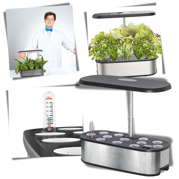 12 Plants Pods Hydroponic Garden