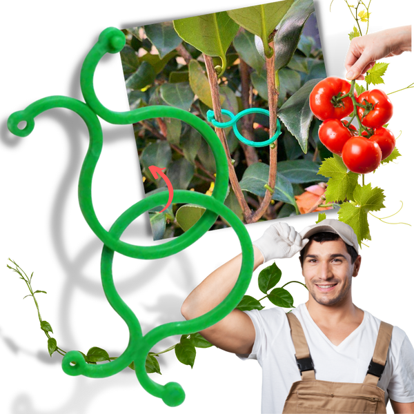 Pack of Garden Plant Holder Clips