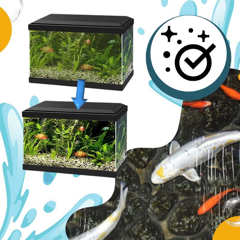 Preventive Aquarium Algaecide