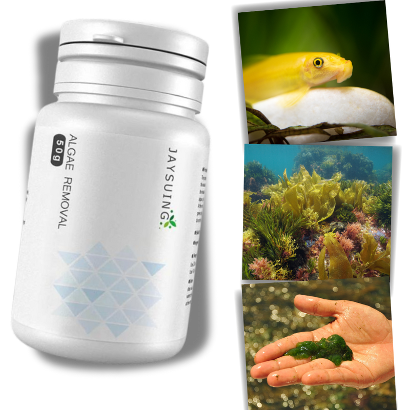 Preventive Aquarium Algaecide