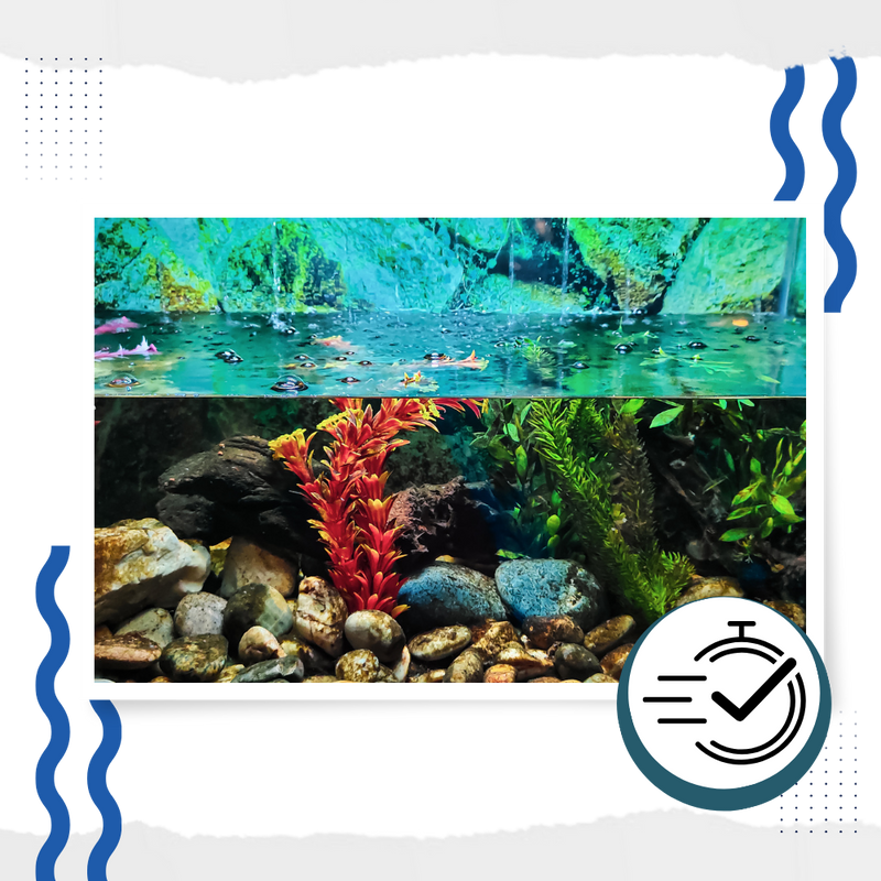 Preventive Aquarium Algaecide